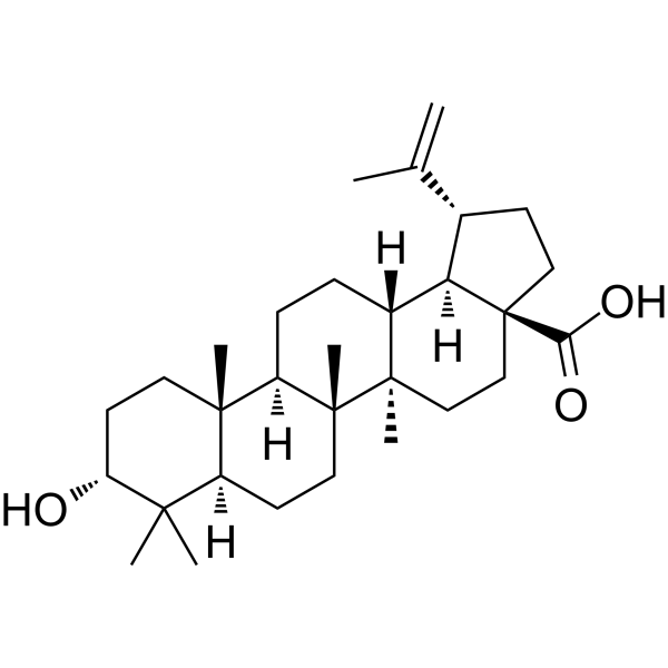 Epibetulinic acid 38736-77-5